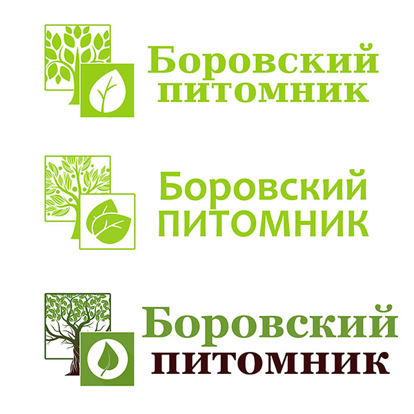 sozdanie_logotypa_borovskiy_pitomnik